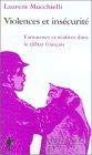 Violence et insécurité : fantasmes et réalités dans le débat français 9782707134080