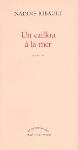 Un caillou à la mer 9782742720316