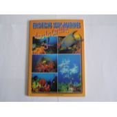 Emotions Sous-Marines Dans Les Caraibes 9782908778328