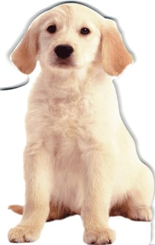 Pop-Corn le chiot 9780751335736
