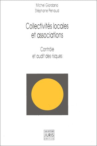Collectivités locales et associations: Contrôle et audit des risques 9782907648585