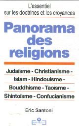 Panorama des religions 9782501019750