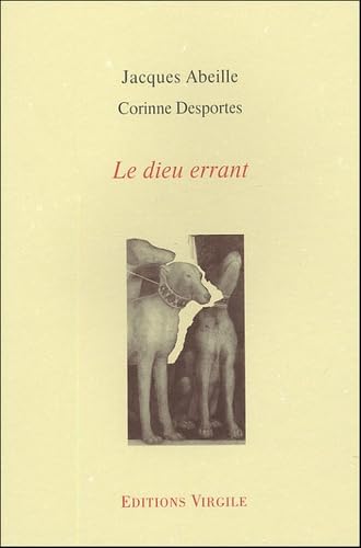 Le dieu errant 9782914481342