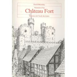 Naissance d'un château fort 9782211032674