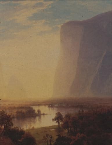 L'Amérique grandeur nature : Peinture et photographie des paysages américains et canadiens de 1860 à 1918 9782757203033