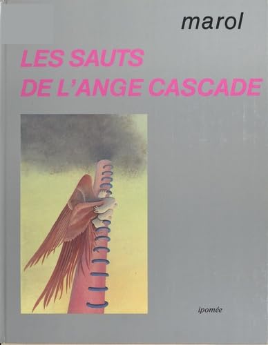 Les Sauts de l'ange cascade 9782864850458