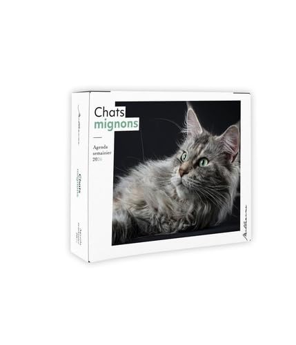Semainier 2026 - Chats mignons 9782385430887
