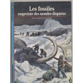 LES FOSSILES, EMPREINTE DES MONDES DISPARUS 9782070530342