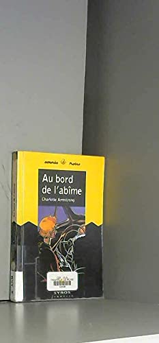 Au bord de l'abîme 9782841466511