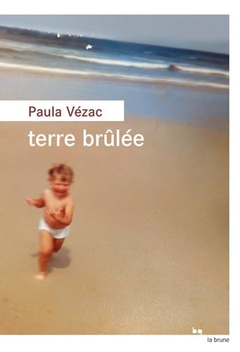 Terre brûlée 9782812619267