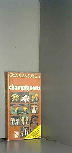 Gros plan sur les champignons 9782092784037