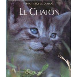 Le chaton: D'avant sa naissance à l'âge adulte 9782092784426