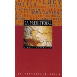 La préhistoire 9782841132775