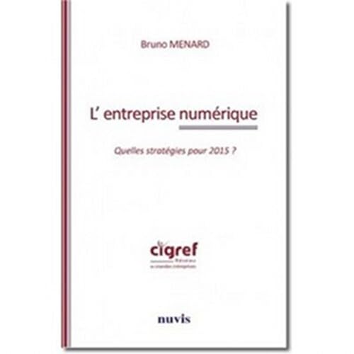 L'entreprise numérique. Quelle stratégies pour 2015? 9782363670014