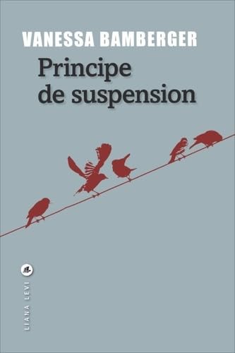 Principe de suspension 9782867468759