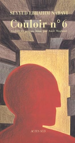 Couloir n° 6: Carnets de prison 9782742751617