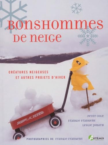 Bonhommes de neige 9782844161000