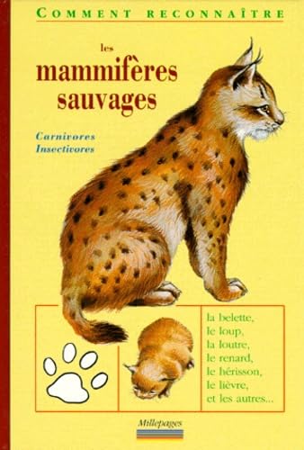 Les mammifères vil.2 : carnivores et insectivores 9782842180133