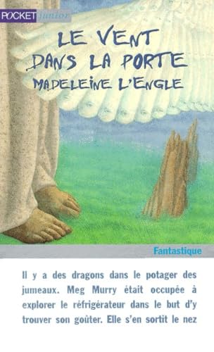 Le vent dans la porte 9782266081610