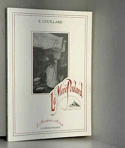 Les groupes de femmes de la région de Québec et l implantation de la Régie régionale de la santé et des services sociaux: Rapport de recherche 9782921008969