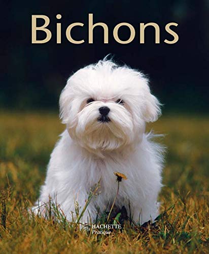 Bichons: Bien les comprendre et bien les soigner, les conseils d'un expert pour votre animal favori 9782016207116