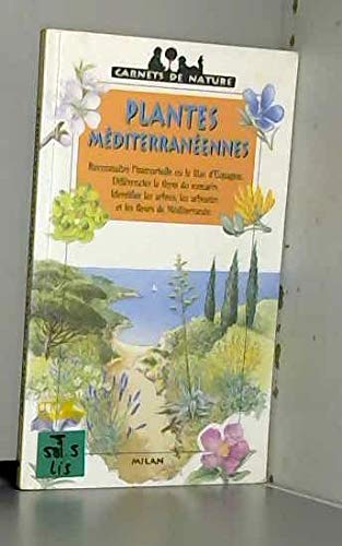 Plantes méditerranéennes 9782841135998
