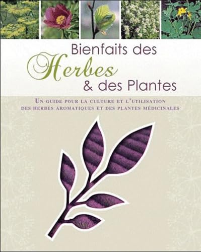 Bienfaits des Herbes et plantes: Un guide pour la culture et l'utilisation des herbes aromatiques et des plantes médicinales 9781445455686