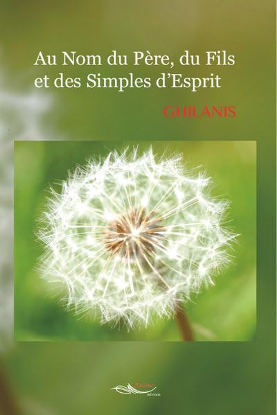 Au nom du Père, du Fils et des simples d'esprit 9782889490011