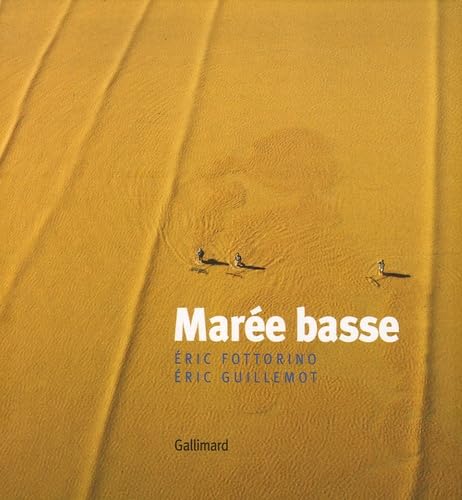 Marée basse 9782742416554