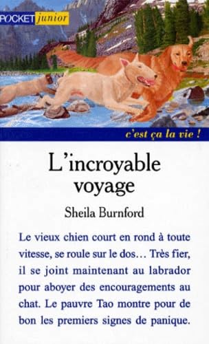 L'incroyable voyage 9782266077262