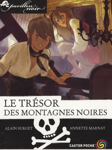 Pavillon noir, Tome 11 : Le trésor des montagnes noires 9782081225879