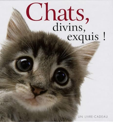 chats, divins, exquis ! 9782873884079