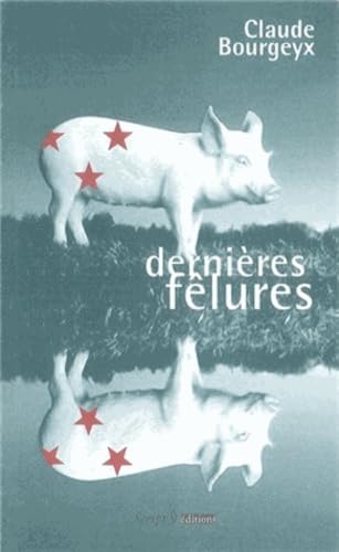 Dernières fêlures 9782911511073