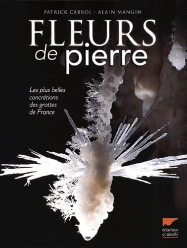 Fleurs de pierre 9782603011966