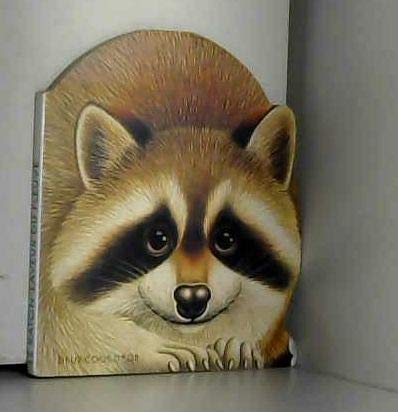 Le Raton laveur du fleuve 9782013919586