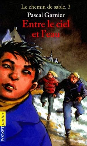 J'irai te voir ..., tome 3 : Entre le ciel et l'eau 9782266096164
