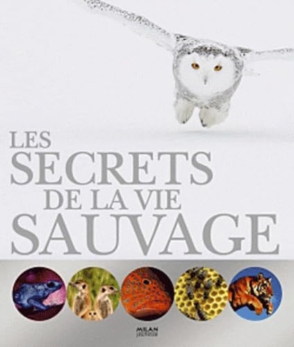 Secrets de la vie sauvage 9782745946782