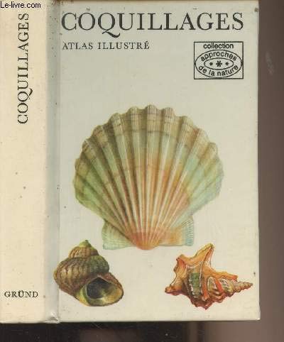 Coquillages : Atlas illustré 9782700001242