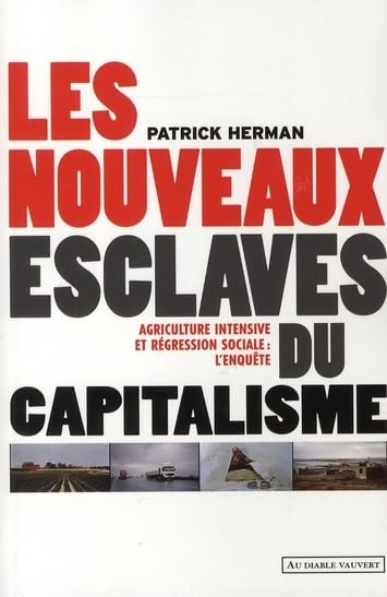 Les nouveaux esclaves du capitalisme 9782846261623