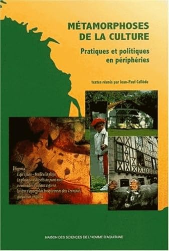 Métamorphoses de la culture. Pratiques et politiques en périphéries 9782858922956