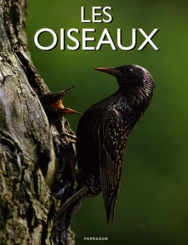 Les oiseaux 9781405477413