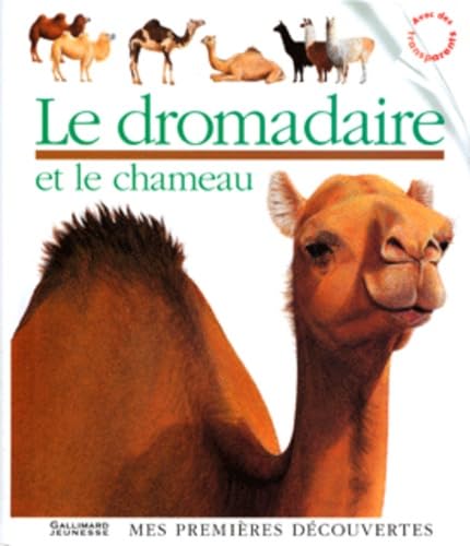 Le dromadaire et le chameau 9782070510689