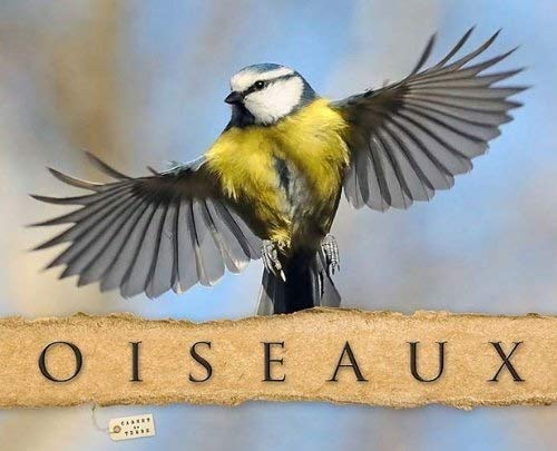 Oiseaux 9782365880268