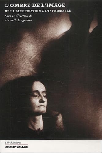 L'ombre de l'image : De la falsification à l'infigurable 9782876733640