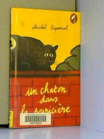 Un Chaton Dans La Souriciere 9782841464104