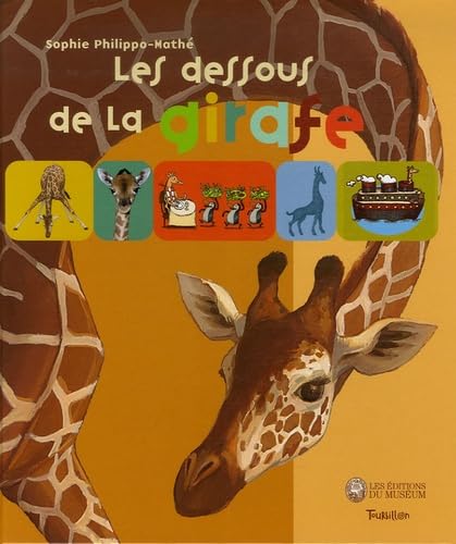 Les dessous de la girafe 9782848011936