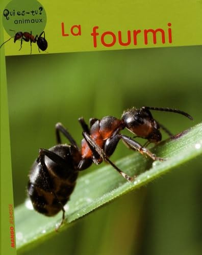 La fourmi 9782740422090