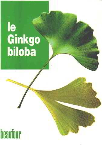Le ginkgo biloba