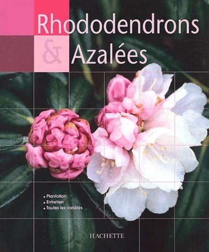 Rhododendrons et azalées 9782012366695