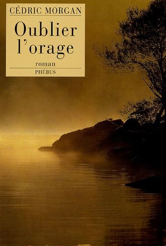 Oublier l'orage 9782752901019